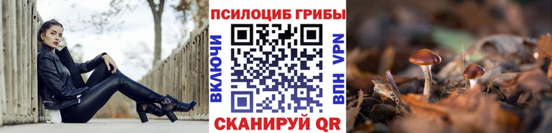Псилоцибиновые грибы MAGIC MUSHROOMS  Екатеринбург 