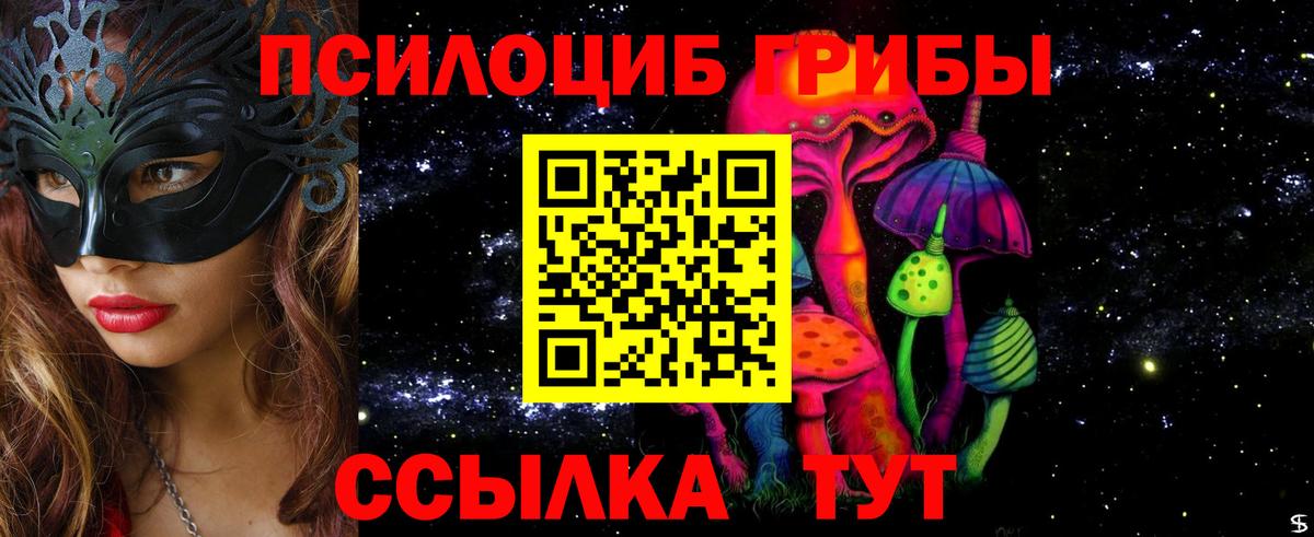 Галлюциногенные грибы Psilocybine cubensis Екатеринбург